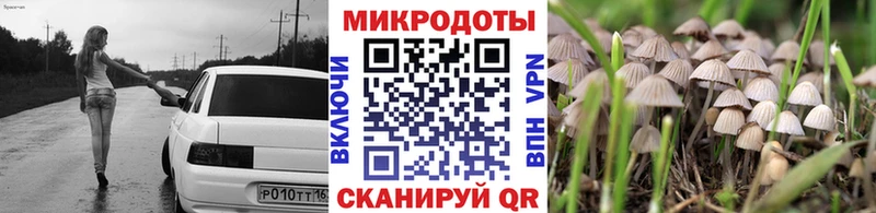 darknet клад  Губкин  Галлюциногенные грибы ЛСД 